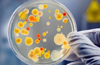 Ölümcül VİRUS sürətlə yayılır – Professordan XƏBƏRDARLIQ