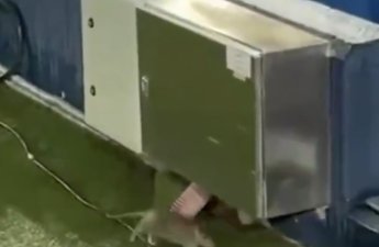 «Барселона» сыграет в Лиге чемпионов на стадионе с крысами