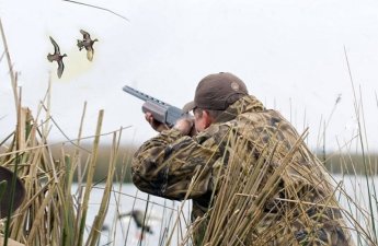 Azərbaycanda ov mövsümünün müddəti UZADILDI