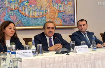 Televiziya məkanında mədəniyyətə yer varmı? – Vitse-spiker danışdı