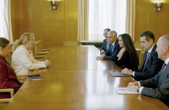 Вице-президент Фонда Гейдара Алиева Лейла Алиева встретилась с генеральным директором Женевского офиса ООН- (ФОТО)