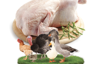 Toyuq, yoxsa delikates? - Ekspertlər quş əti bazarındakı qiymət artımının səbəbini açıqladılar