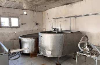 Ağcabədidə pendir sexinin fəaliyyəti məhdudlaşdırıldı - FOTOLAR