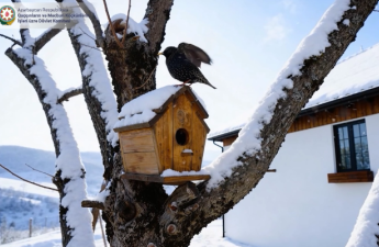 Laçın bir cənnətdir - Qışı möcüzə (VİDEO)