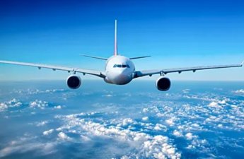 Самолёт SAS вернулся в Стокгольм из-за мыши на борту