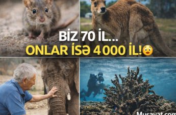 Biz 80 il, onlar isə 4000 il yaşayırlar - heyrətamiz məlumatlar