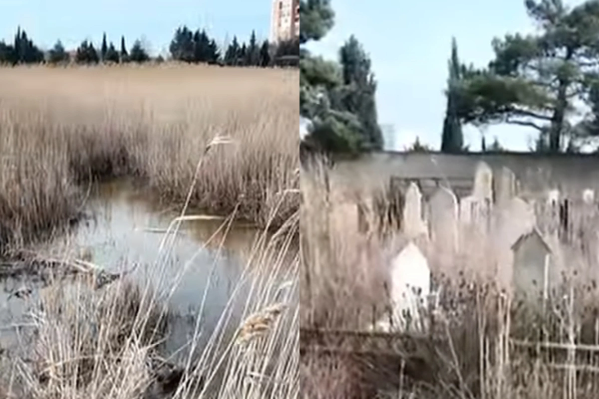 Zabrat qəbiristanlığı baxımsız halda - VİDEO