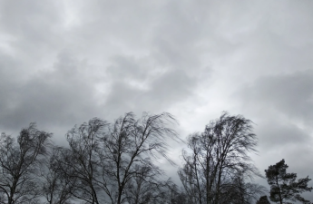 Sabah Azərbaycanda külək güclənəcək - XƏBƏRDARLIQ