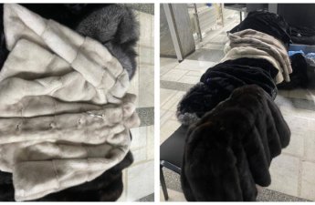 Азербайджанские таможенники пресекли контрабанду изделий из меха и кожи