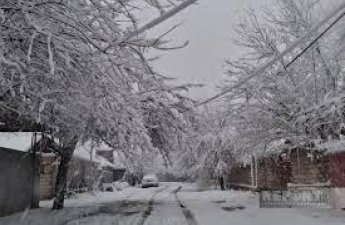 Сильный снегопад привел к серьезным последствиям в Джалилабаде и Билясуваре
