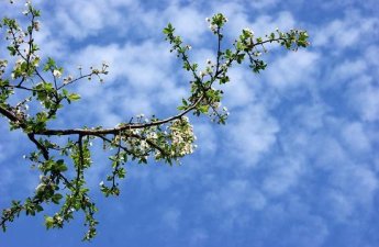 Сколько дней в Азербайджане будет тепло?