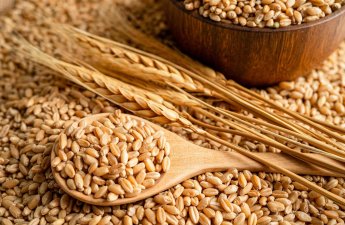 Азербайджан увеличил импорт пшеницы на 50%