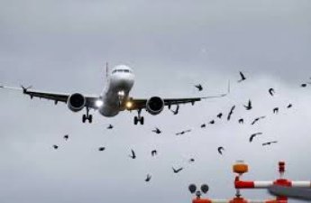 Италия одобрила пролет самолета российской делегации на пути в Женеву