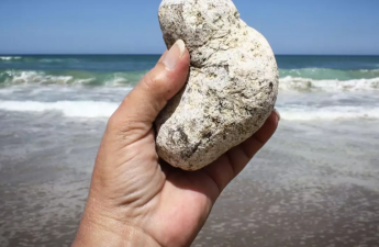 Adi bir daş kimi görünür, sahildə tapan varlanır - FOTO