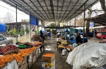 Neftçala ərzaq bazarında nöqsanlar aşkarlandı - VİDEO