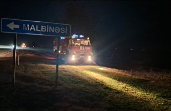 Yevlax və Beyləqanda meşə ərazisində baş vermiş yanğınlar söndürüldü