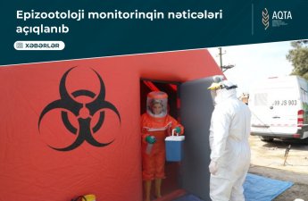 Azərbaycanda quş qripi xəstəliyinə rast gəlinib? - RƏSMİ AÇIQLAMA