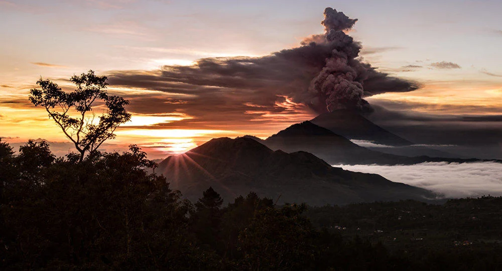На Бали похитили сыновей украинских авторитетов