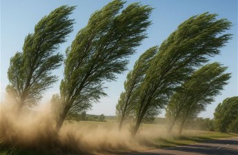 В Баку и на Абшероне усилился ветер, в регионах наблюдается туман