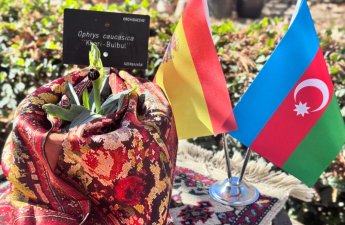 В Королевском ботаническом саду Мадрида расцвел цветок Хары-бюльбюль