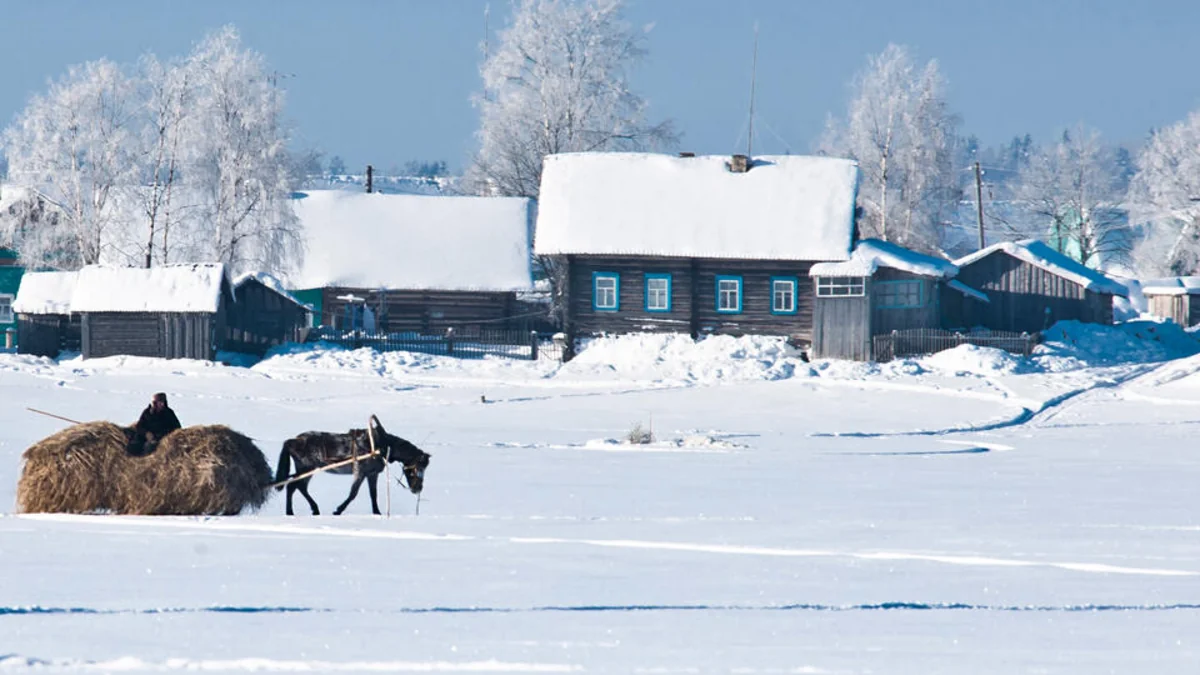 В Беларуси продается целая деревня Веселуха