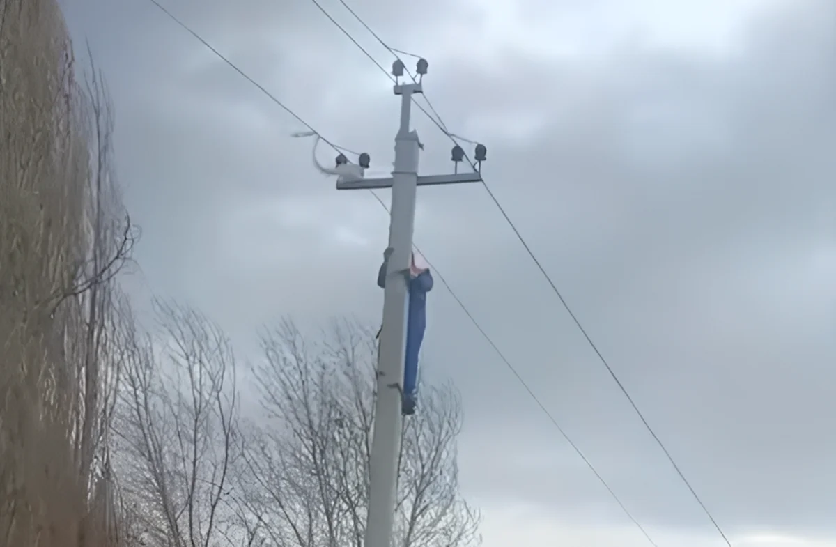 Güclü külək bəzi ərazilərdə fəsadlara səbəb oldu - VİDEO