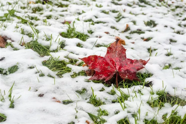 Bu rayonlarda QAR YAĞIR - FAKTİKİ HAVA