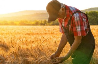 Bu şəxslərə ödənilən məbləğin yuxarı həddi artırıldı