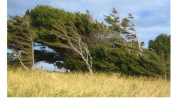 В Азербайджане усилится ветер