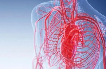 Mövsümi dəyişikliklər ürək və qan damarlarına necə təsir edir?