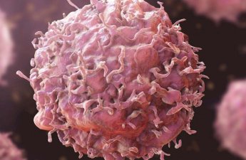 Xərçəngin dərmanı bu heyvanda imiş