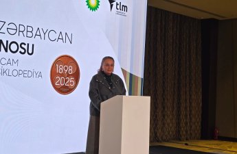 В производство фильмов в Азербайджане за три года привлечено $10 млн