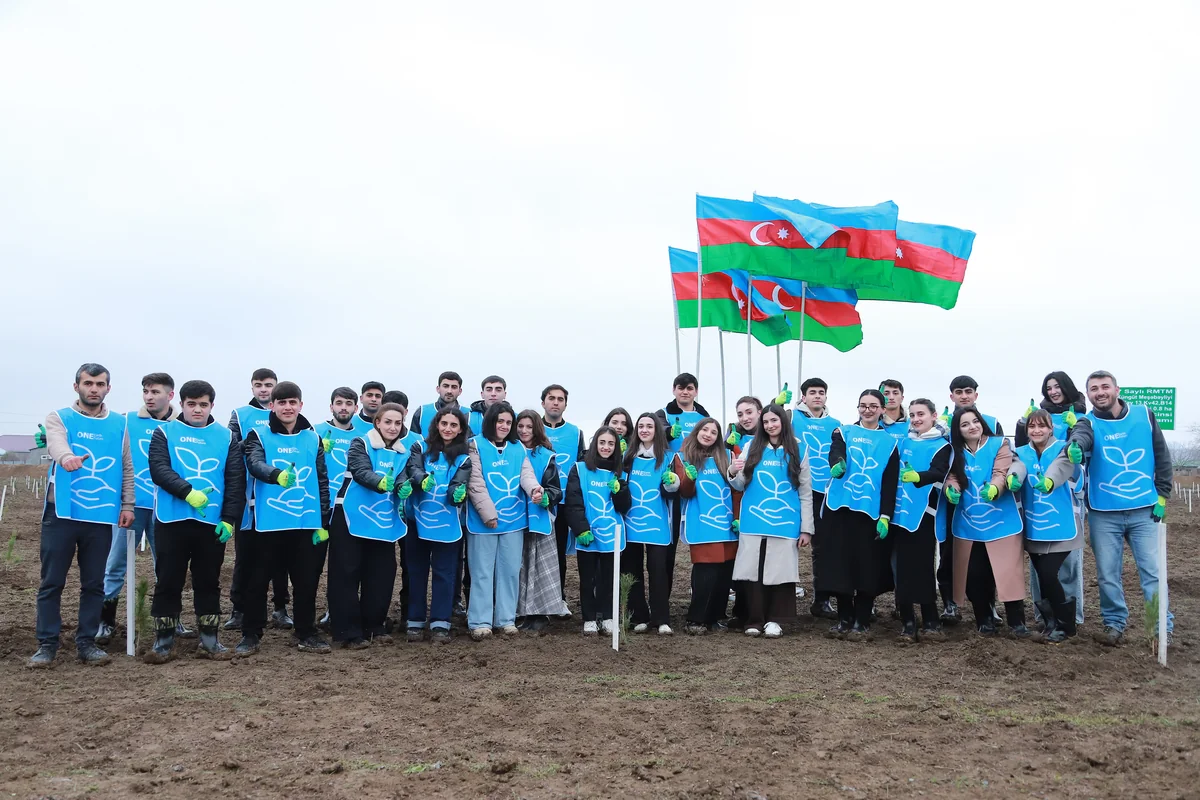 IDEA Şəki və Qəbələdə kütləvi ağacəkmə aksiyası təşkil edib - FOTO