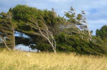 Объявлен желтый уровень погодной опасности