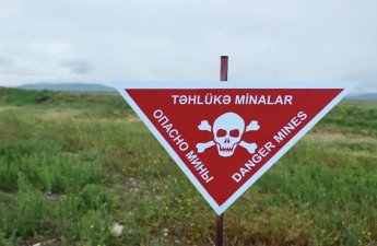 “Ermənistanın mina terrorunun ifşasını davam etdirməliyik”