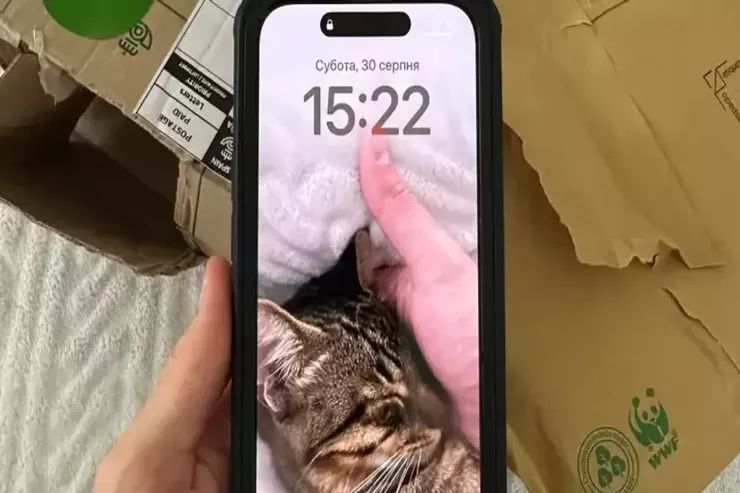 iPhone  istifadəçilərinin NƏZƏRİNƏ: təcili iOS-u yeniləyin