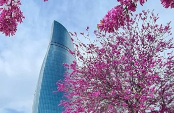 Sabah 17 dərəcə isti olacaq