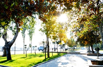 Температура воздуха приблизится к +20°С