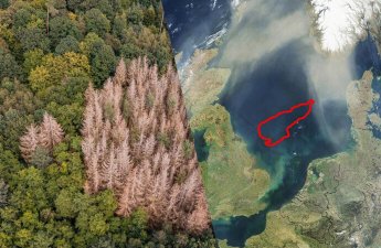 “İtmiş dünya” Şimal dənizinin dibində tapıldı