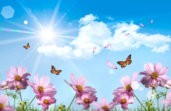 Azərbaycana yaz fəsli daxil olub