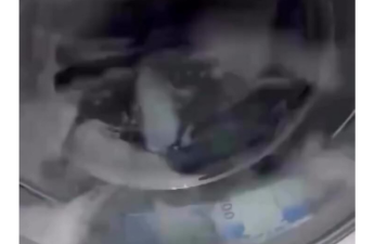 200 manatlıqları paltaryuyanda YUDULAR - VİDEO