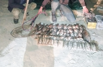 Kür çayında cərəyanla qanunsuz balıq ovlayan 3 nəfər saxlanılıb