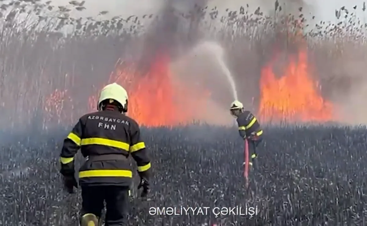 На открытой местности в Газахском районе произошел пожар - ВИДЕО