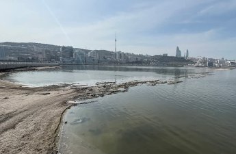 Xəzər geri çəkilir: Bakı buxtası ilə bağlı həyəcan siqnalı – Fotolar