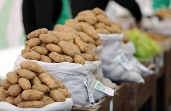 Kartof bazarında nə baş verir? - Ekspert bahalaşmanın səbəblərini AÇIQLAYIR