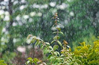 Havanın temperaturu 5 dərəcə enəcək - XƏBƏRDARLIQ