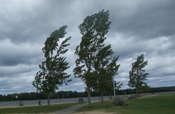 Küləkli hava şəraiti ilə bağlı sarı xəbərdarlıq