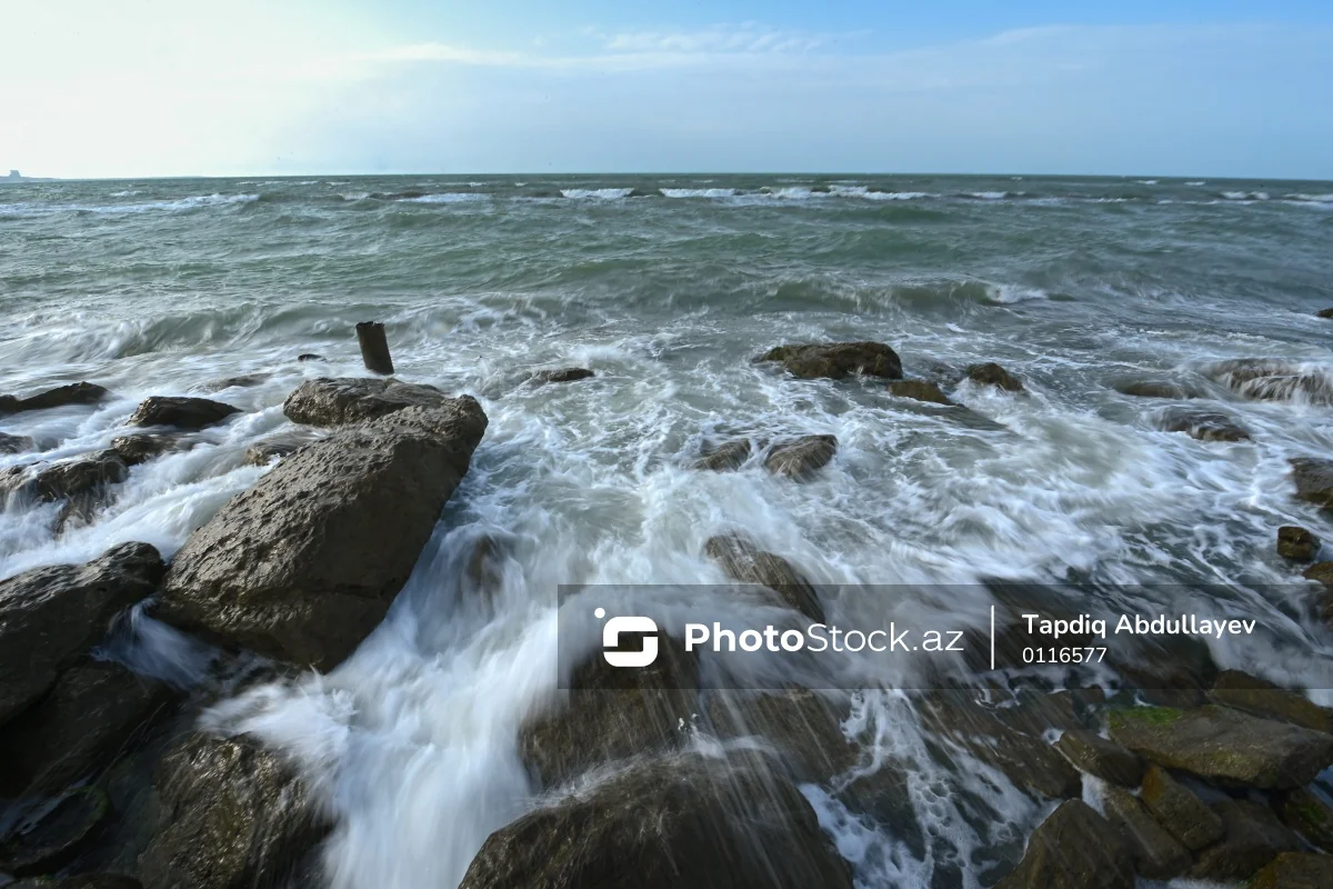 В Дагестане закрыли пляжи из-за экологической катастрофы - ВИДЕО