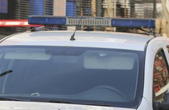 В Италии из музея под Пармой украли картины Ренуара, Сезанна и Матисса