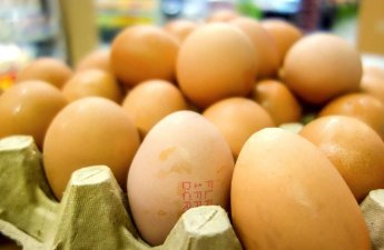 Toyuq yumurtasının gizli təhlükəsi